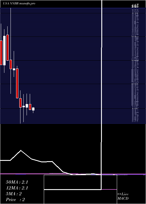 monthly chart NnInc