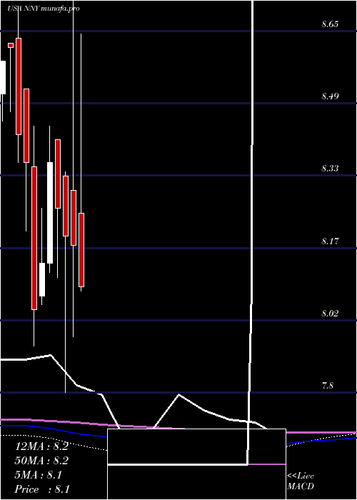monthly chart NuveenNew