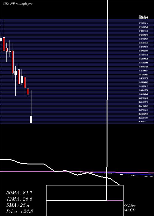  monthly chart NeenahInc