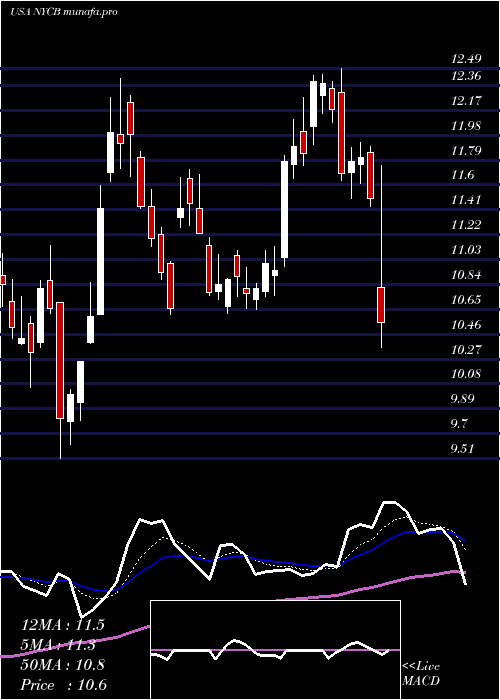 Daily chart NewYork