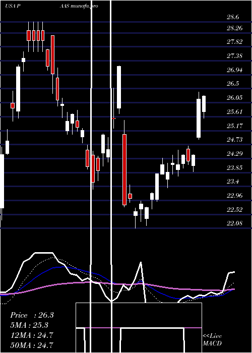 Daily chart PanAmerican