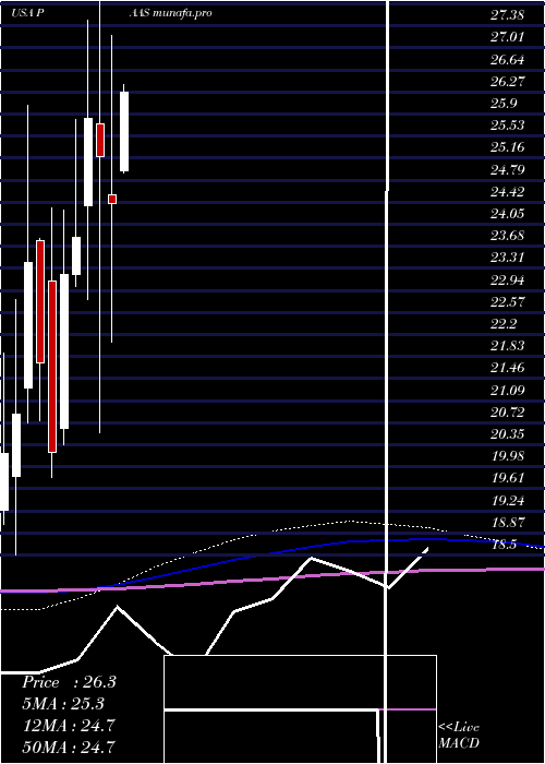 monthly chart PanAmerican