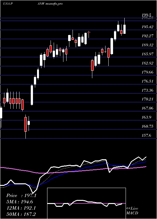  Daily chart PaloAlto