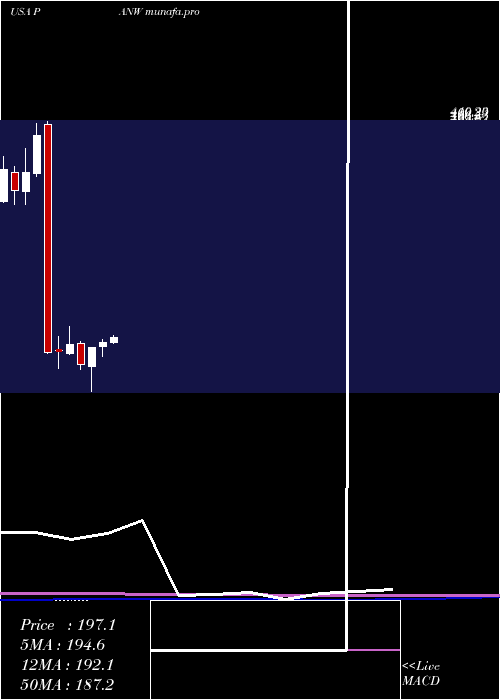  monthly chart PaloAlto