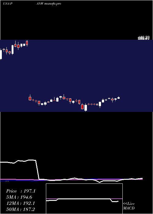  weekly chart PaloAlto