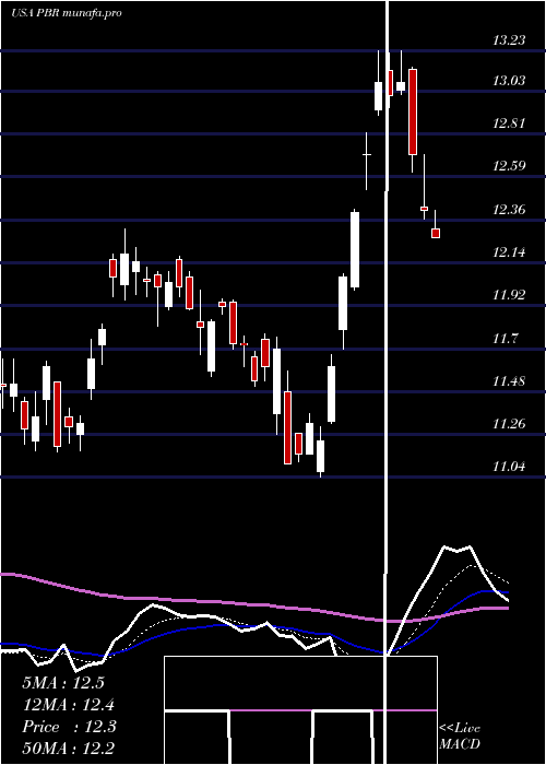 Daily chart PetroleoBrasileiro