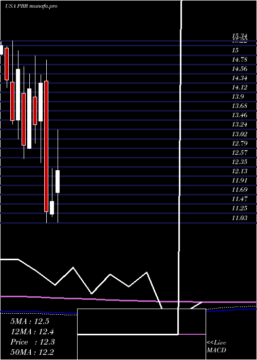  monthly chart PetroleoBrasileiro