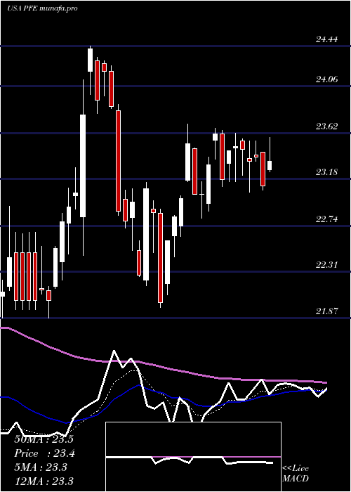  Daily chart PfizerInc