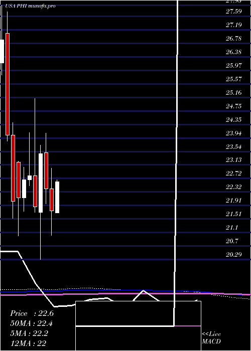 monthly chart PldtInc