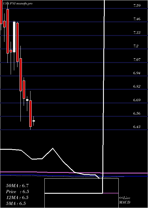  monthly chart PimcoNew