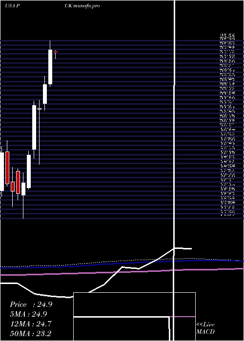 monthly chart PrudentialPublic