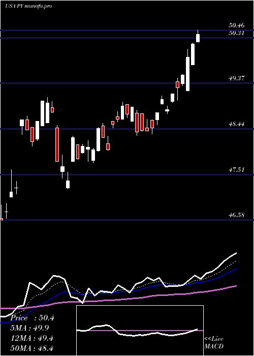 Daily chart PrincipalShareholder