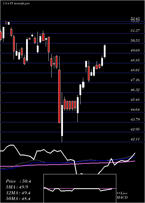 weekly chart PrincipalShareholder