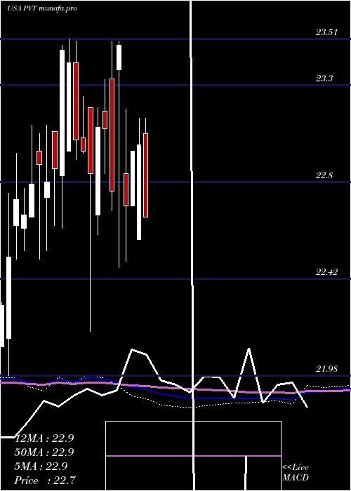  monthly chart PplusTrust