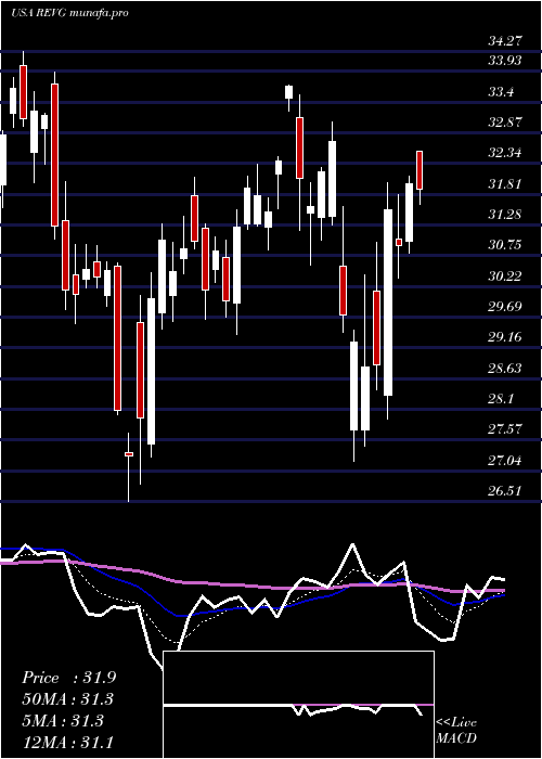  Daily chart RevGroup