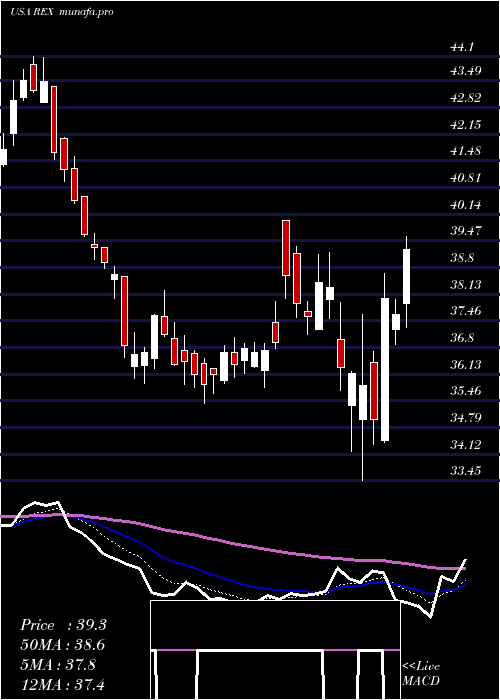  Daily chart RexAmerican