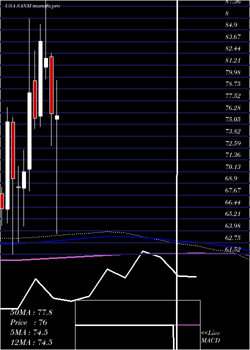  monthly chart SanminaCorporation