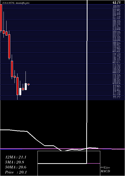 monthly chart ShoeCarnival