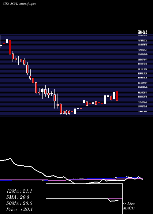  weekly chart ShoeCarnival