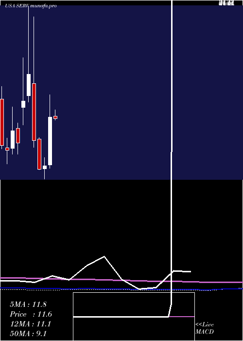 monthly chart ServicemasterGlobal