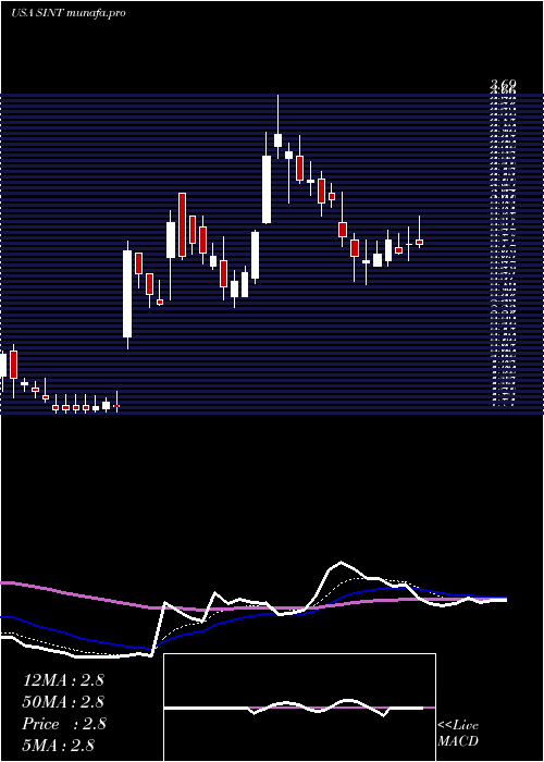 Daily chart SintxTechnologies
