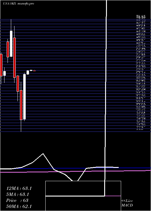  monthly chart SkechersU