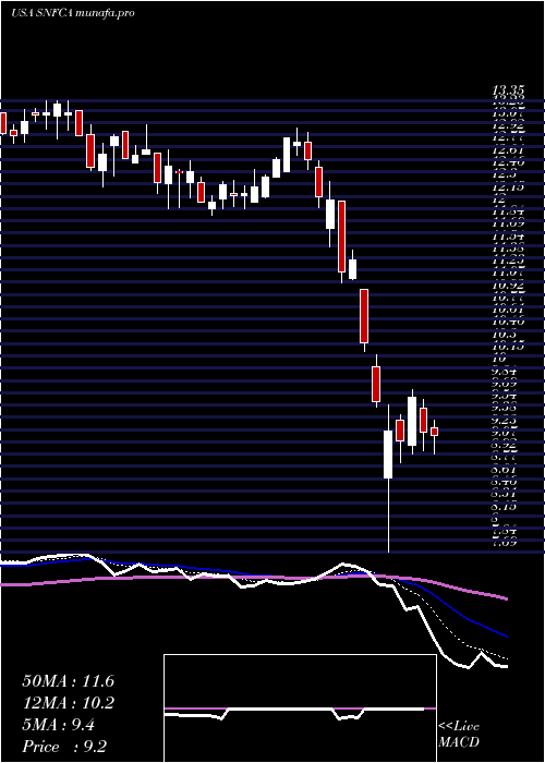  Daily chart SecurityNational