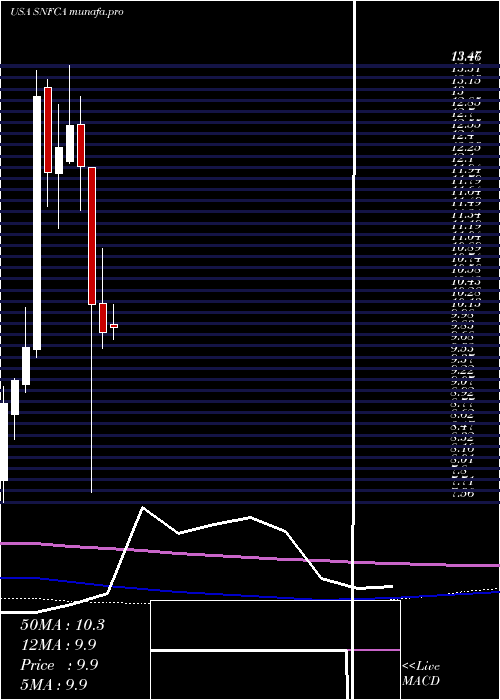 monthly chart SecurityNational