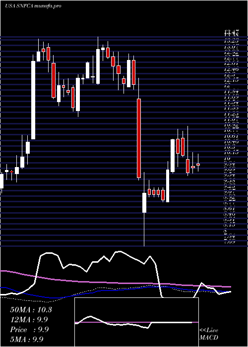 weekly chart SecurityNational