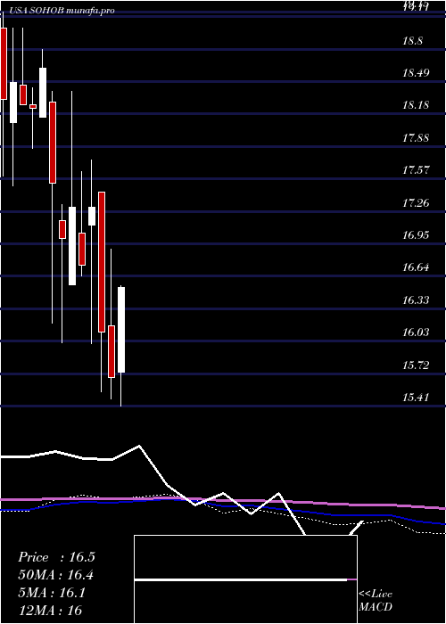 monthly chart SotherlyHotels