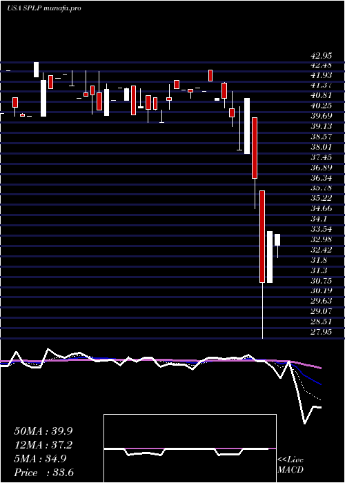  Daily chart SteelPartners