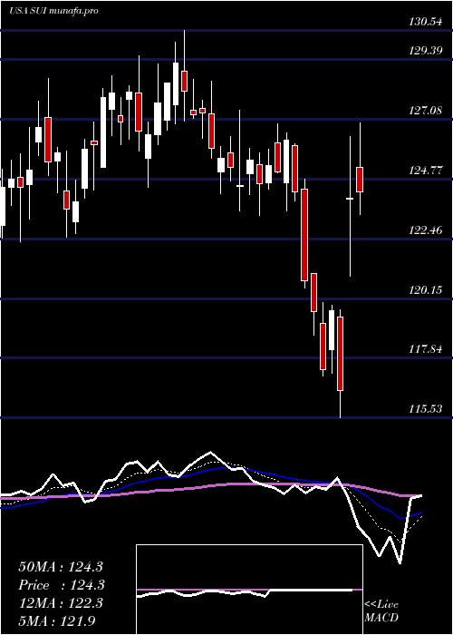  Daily chart SunCommunities