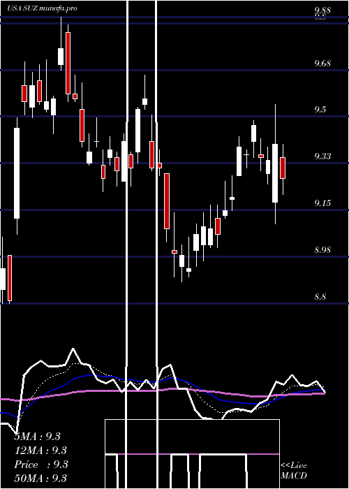 Daily chart SuzanoPapel