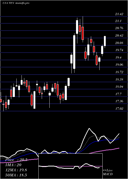  Daily chart TennecoInc