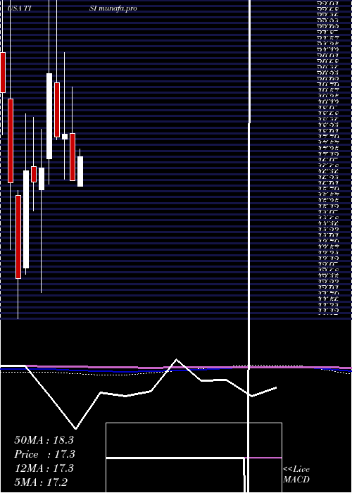 monthly chart TeamInc