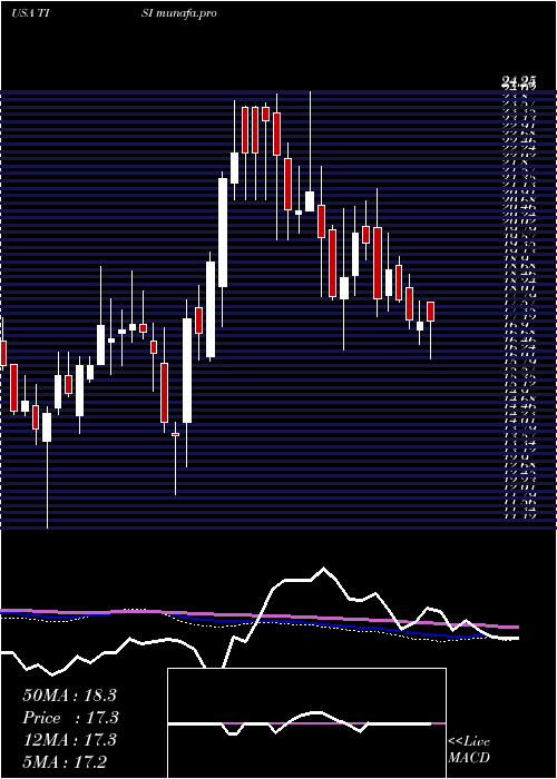  weekly chart TeamInc