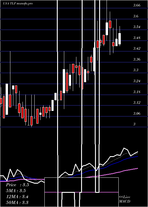  Daily chart TandyLeather