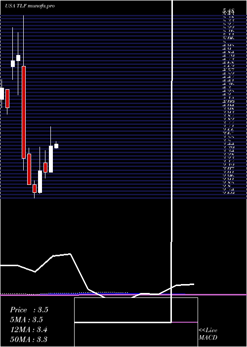  monthly chart TandyLeather