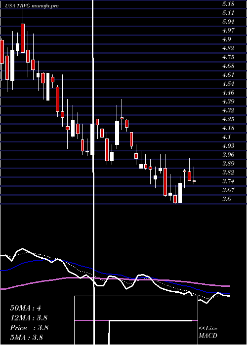 Daily chart TrivagoN