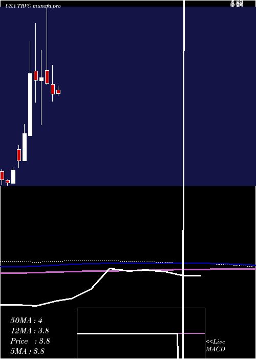 monthly chart TrivagoN