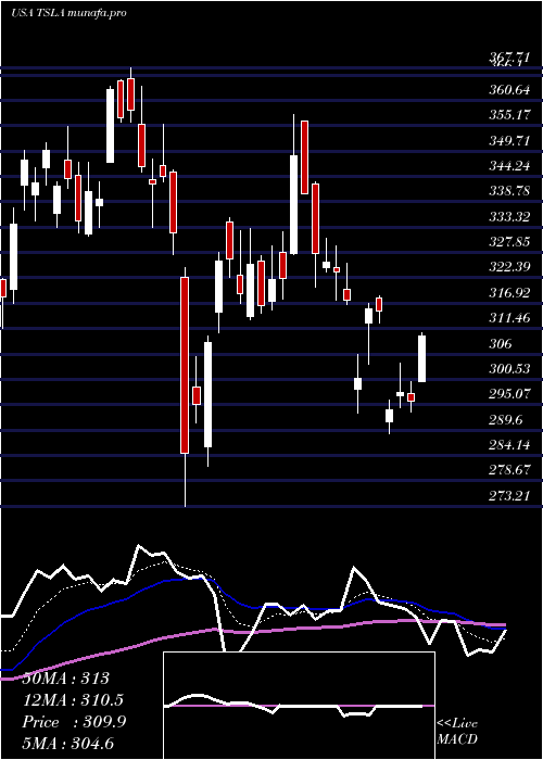 Daily chart TeslaInc