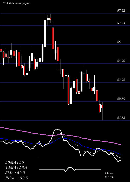  Daily chart TysonFoods