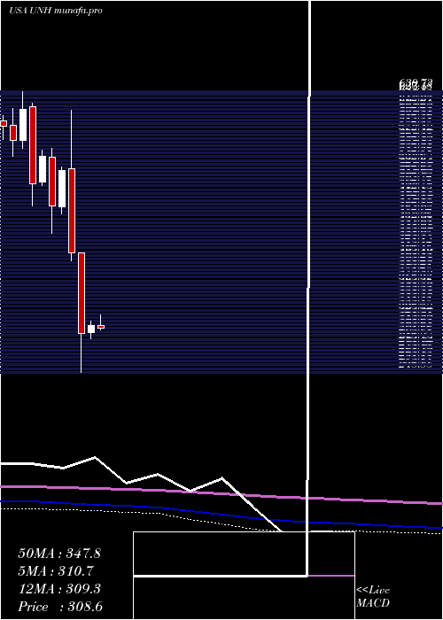  monthly chart UnitedhealthGroup