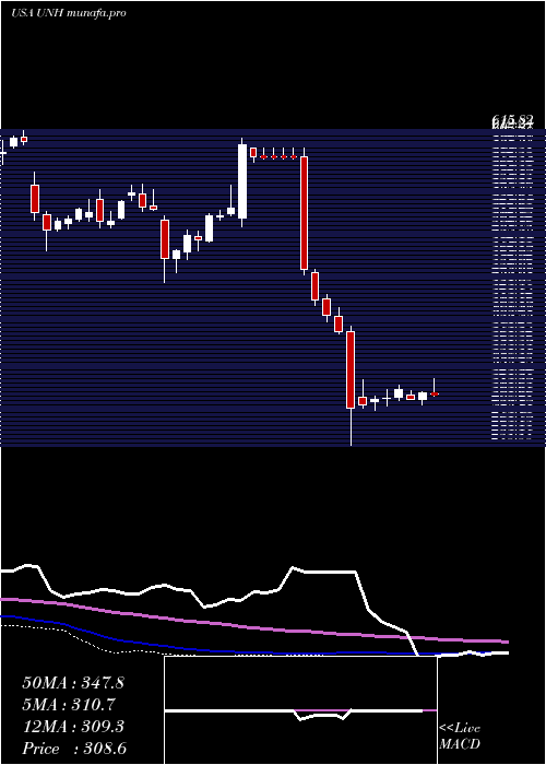 weekly chart UnitedhealthGroup