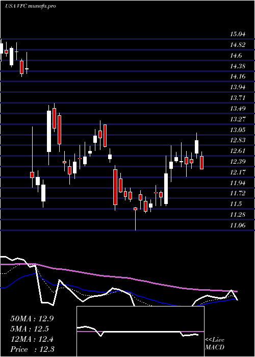 Daily chart VF