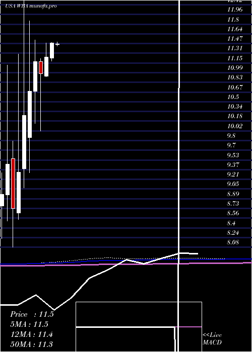 monthly chart WalgreensBoots