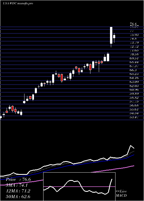  Daily chart WesternDigital