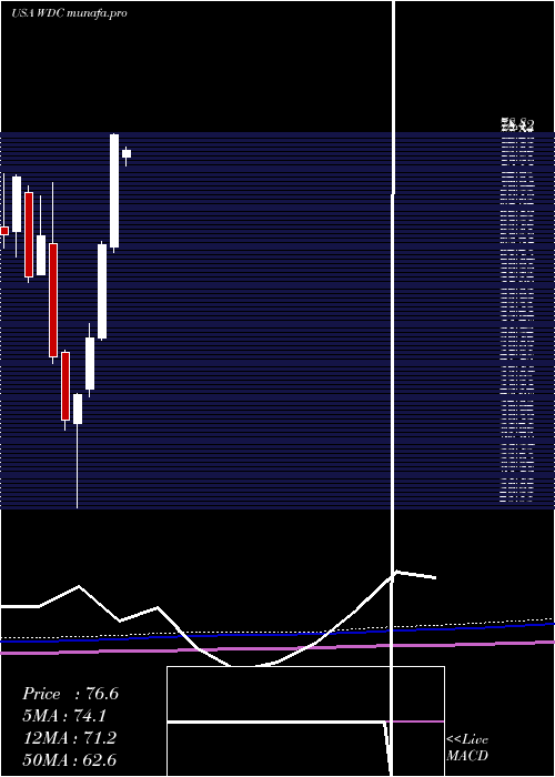  monthly chart WesternDigital