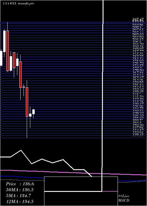 monthly chart WexInc