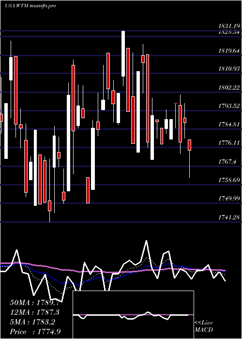  Daily chart WhiteMountains